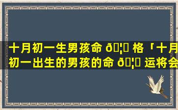 十月初一生男孩命 🦊 格「十月初一出生的男孩的命 🦄 运将会怎样」